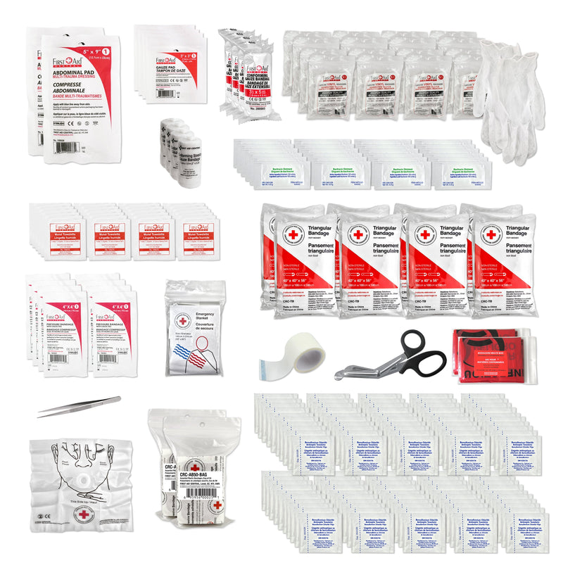 Canadian Red Cross Type 2 Basic - Large First Aid Kit
